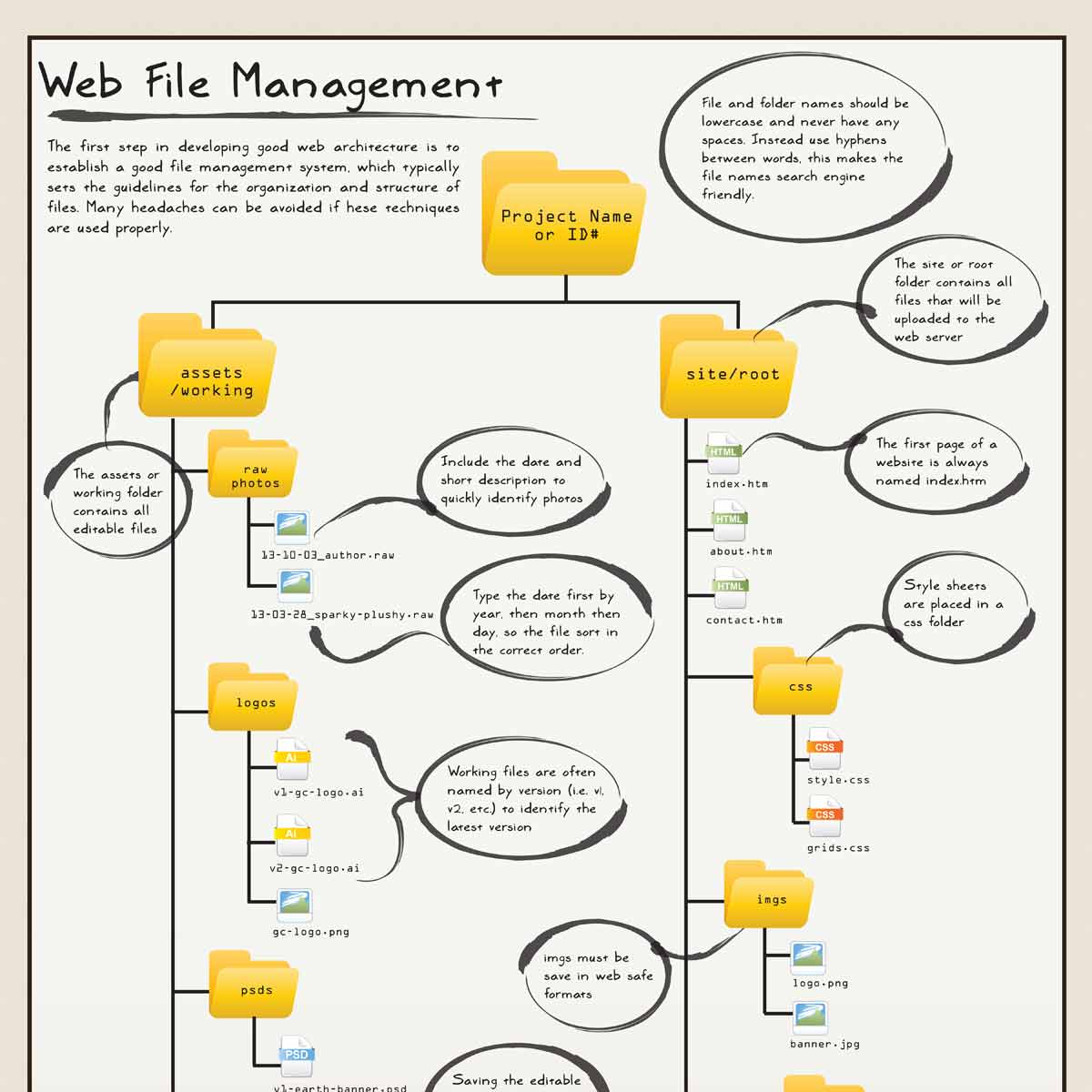 Web Design Infographics